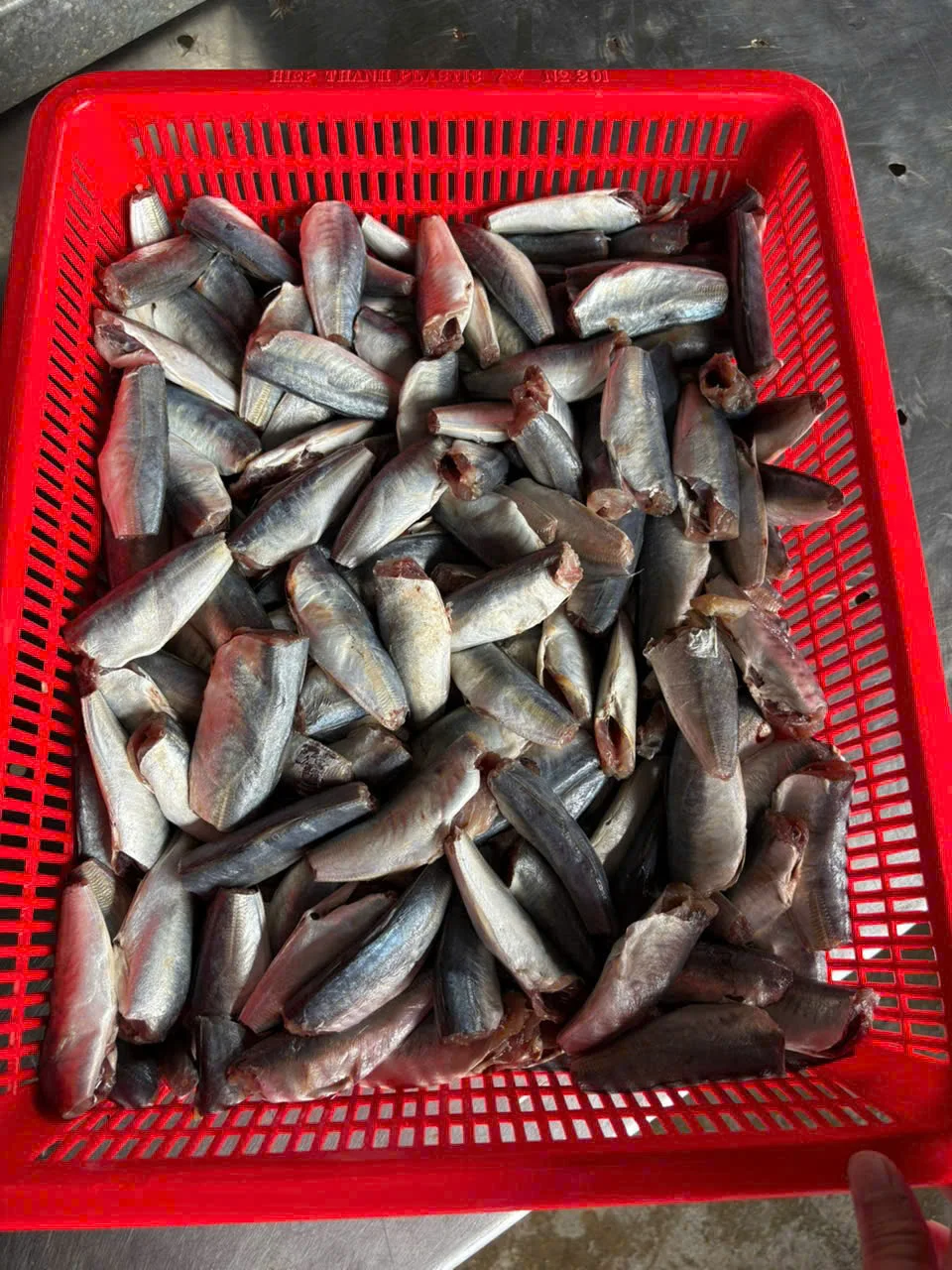 Cá nục gai cắt đầu
