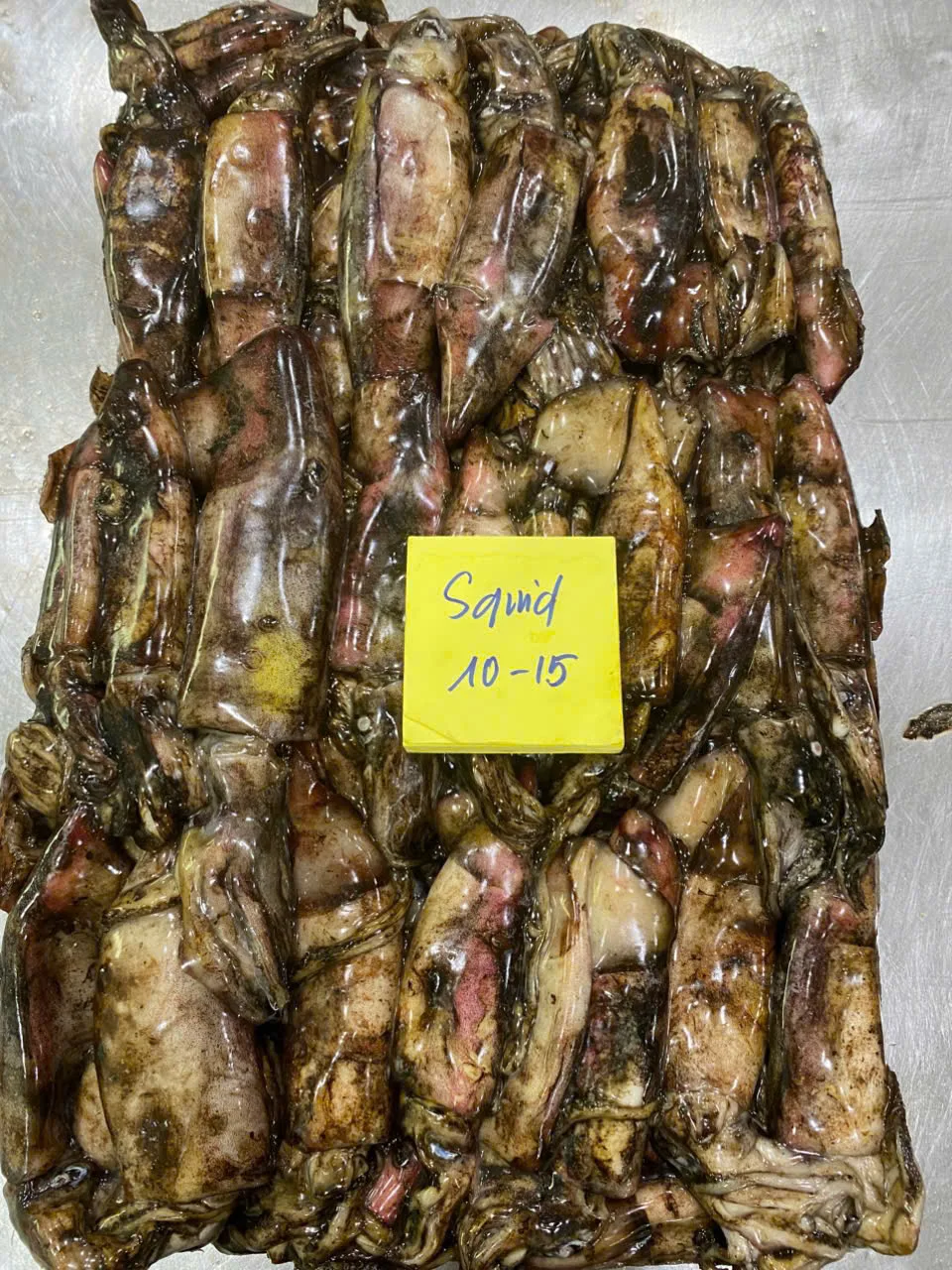Mực xà đen — hình ảnh thực tế