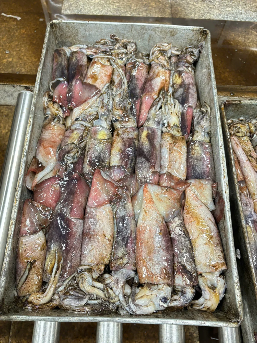 Mực xà đen — hình ảnh thực tế