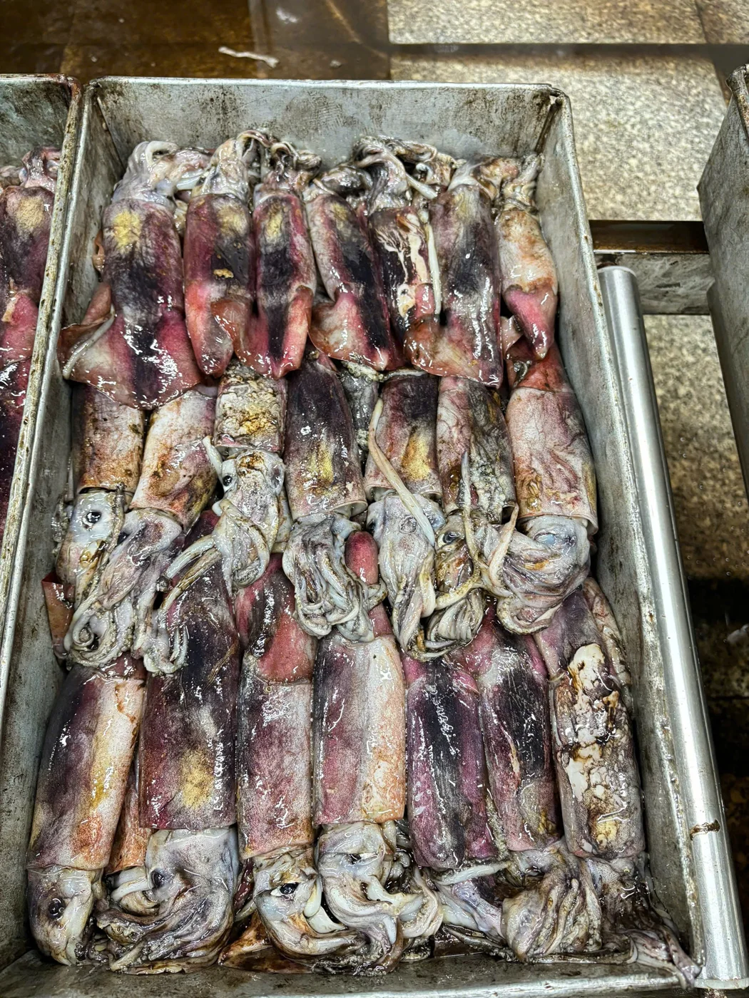 Mực xà đen — hình ảnh thực tế