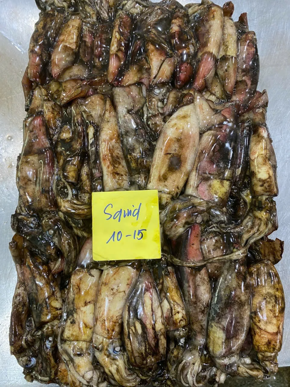 Mực xà đen — hình ảnh thực tế