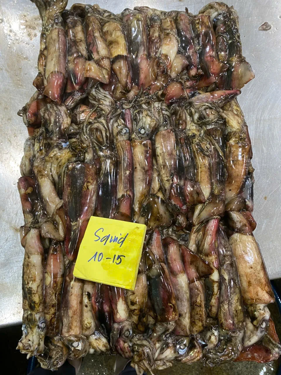 Mực xà đen — hình ảnh thực tế