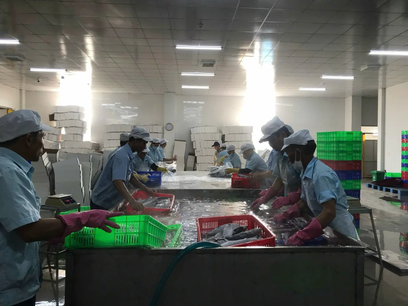 Khu vực xử lý sản phẩm