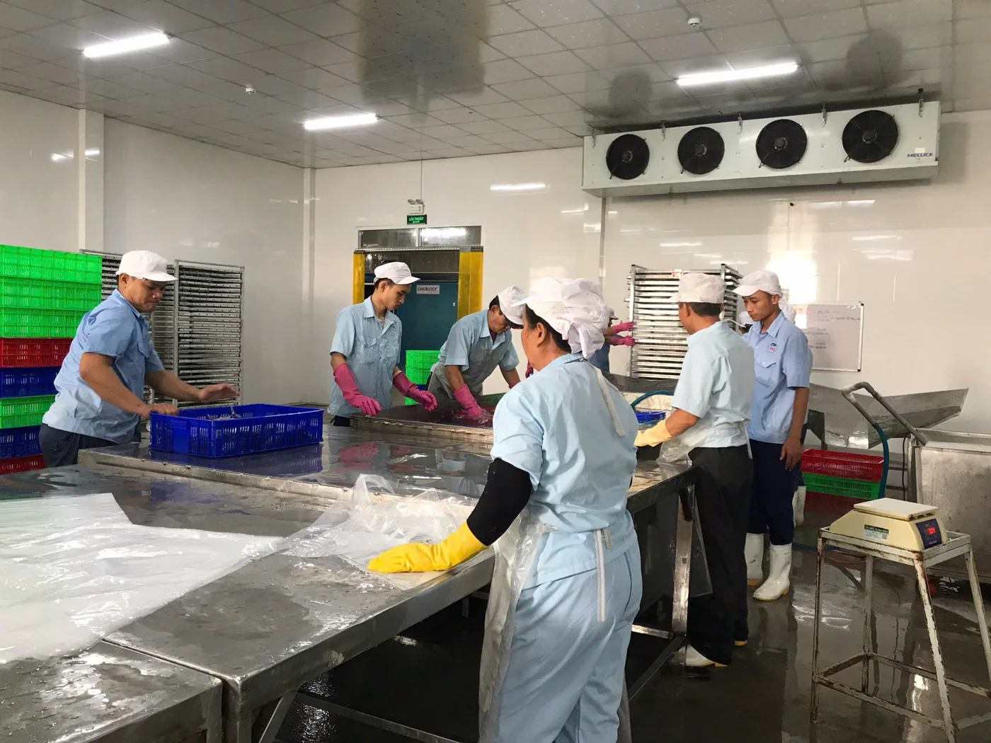 Xử lý và chuẩn bị sản phẩm