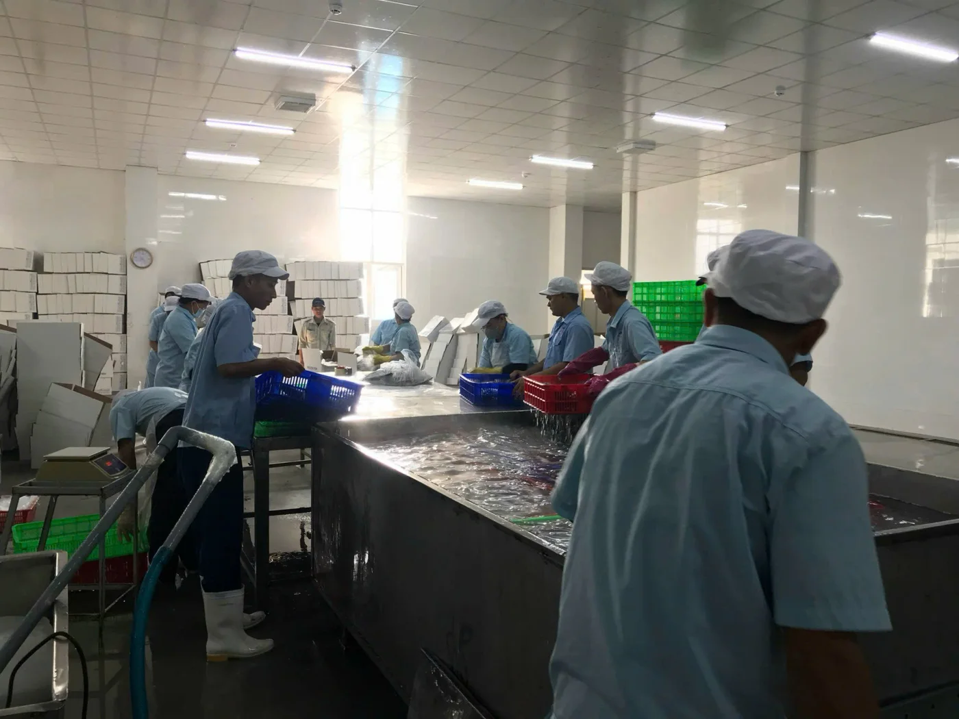 Xử lý và chuẩn bị sản phẩm